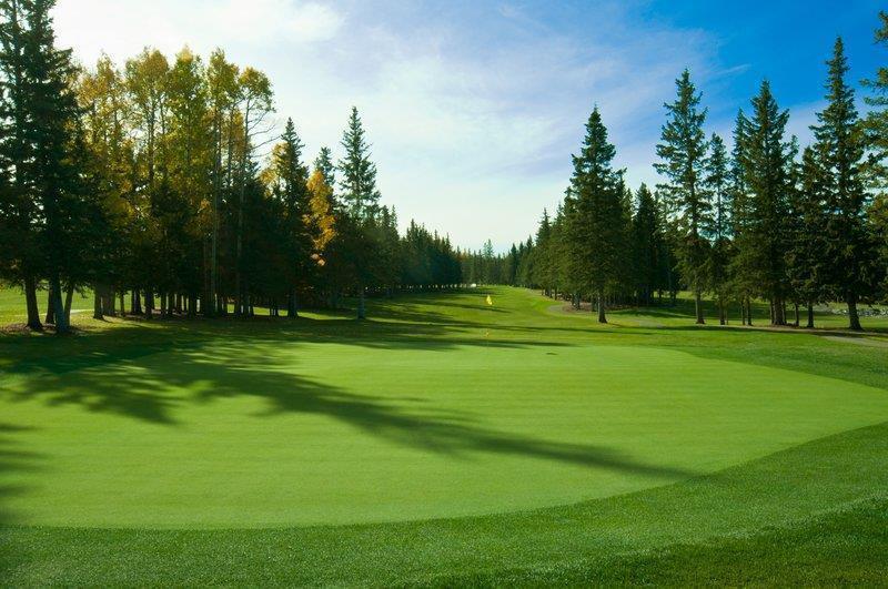 Mountain View Inn & Suites Sundre Екстериор снимка